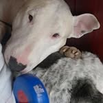 Howard Hawker - @howardhawker - Instagram