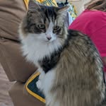 Howie Heinz - @howardheinz - Instagram
