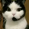 Howard Herrera - @howard.herrera30 - TikTok