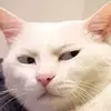 HowardHiggins - @murphjmt6qq - TikTok