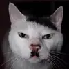 Howard chipp - @howard.chipp - TikTok