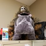 Howard Hippo - @howard.the.hippo - Instagram
