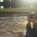Howard - @howardhippo - Instagram