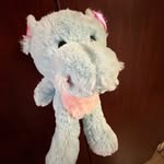 Howard the hippo - @howard_hippo42069 - Instagram