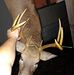 Howard Holcomb - Facebook