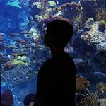 Hong Howard - @howardhong0527 - Instagram