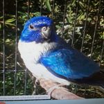 Howard Hong - @howard.hong.10 - Instagram