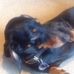 Howard Ives - Facebook