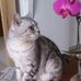 Howard Kao - Facebook