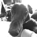 Howard Keeling - Facebook