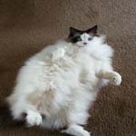 _Howard_Kenney - @_howard_kenneyk - Instagram