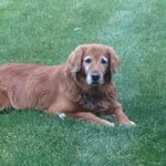Howard Kramer - @hkramer1018 - Instagram