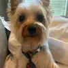 blake - @.blakehoward - TikTok