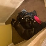Melissa Howard Lancaster - @melissahowardlancaster - Instagram