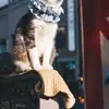 howardlanderso54884 - @howardlanderso54884 - TikTok