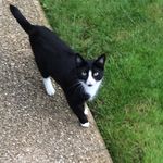 Howard_Latham - @howard_latham - Instagram