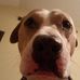 Howard Law - Facebook
