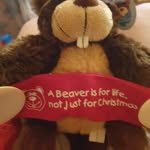 Loz Howard - @howard_lawrence - Instagram