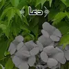 Howardleeart☘️☘️☘️ - @howarla7669 - TikTok