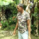 Howard Delevante - @howarddelevante - Instagram