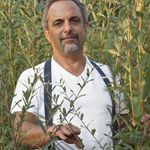 Howard Peller Basket Farmer - @livingwillowfarm - Instagram