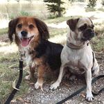 howard Clinton - @howard_clinton457 - Instagram