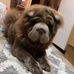 Lilly May Howard - Facebook