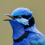 Howard Loosemore - @howardloosemore - Instagram