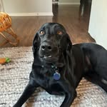 Howard Lotty - @howardlotty - Instagram