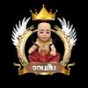 lottiehoward19795 - @lottiehoward19795 - TikTok