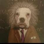 Howard Mai - @howardmaimai - Instagram