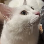 Howard Mai - @howahhhhh_ - Instagram