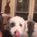 Howard Major - Facebook