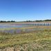 Howard Marsh Metropark - Facebook
