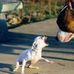 Howard Matlock - Facebook