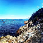 Howard Mccann - @howardmccann733 - Instagram