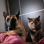 Howard Mcguire - @howardmcguire468 - Instagram