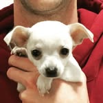 Howard Stanley Andrew McRae - @howardstanleyandrewmcrae - Instagram