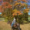 howardmeyers175 - @howardmeyers175 - TikTok