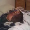 Tammy Howard Miner - @tammy.howard.mine - TikTok