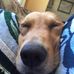 Howard Muir - Facebook