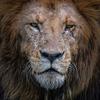 Howard Muir - @howard.muir - TikTok