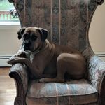 Howard mullen - @mullman689 - Instagram