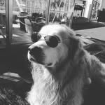 Howard Murray - @howardmurray520 - Instagram