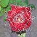 Howard Naranjo - Facebook