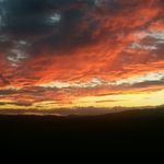 Howard Newcombe - @newcombehoward - Instagram