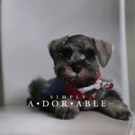 Howard O'neill Diaz - @adventures_of_kaiser - Instagram