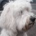 Howard Oorloff - Facebook