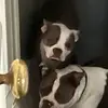 Howard Owen - @howard.owen4 - TikTok
