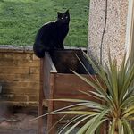 Howard Parr - @parrhoward - Instagram